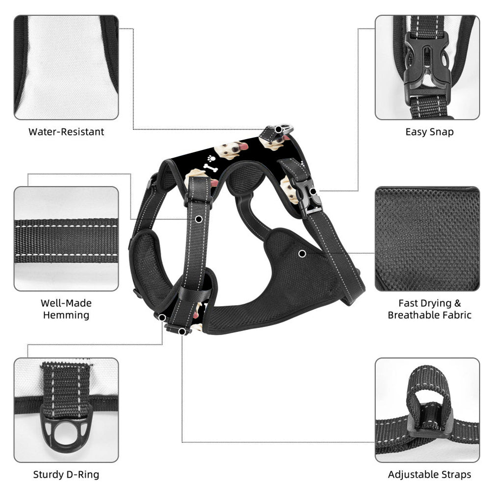 Personalized Dog Photo Bone Pattern Style Dog Harness