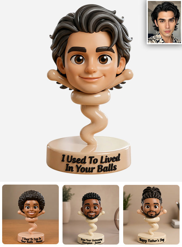 Any Photo Used To Lived In Your Balls Funny Gift For Dad - Personalized Father Premium 3D Figurine
