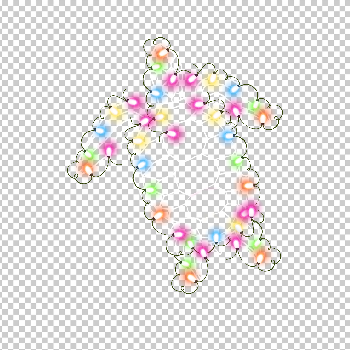 TURTLE 43