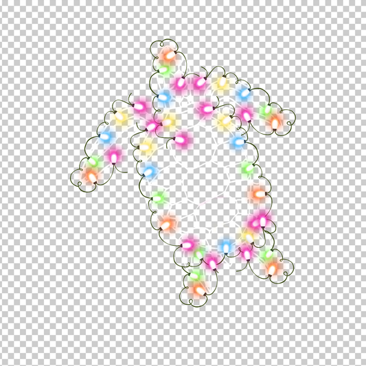 TURTLE 43