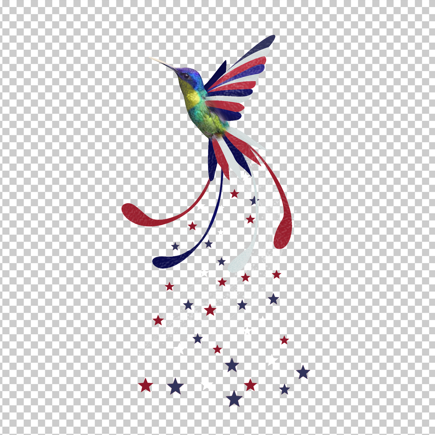HUMMINGBIRD 1