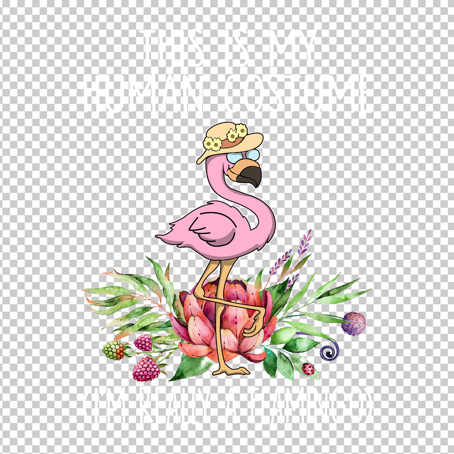 FLAMINGO 17