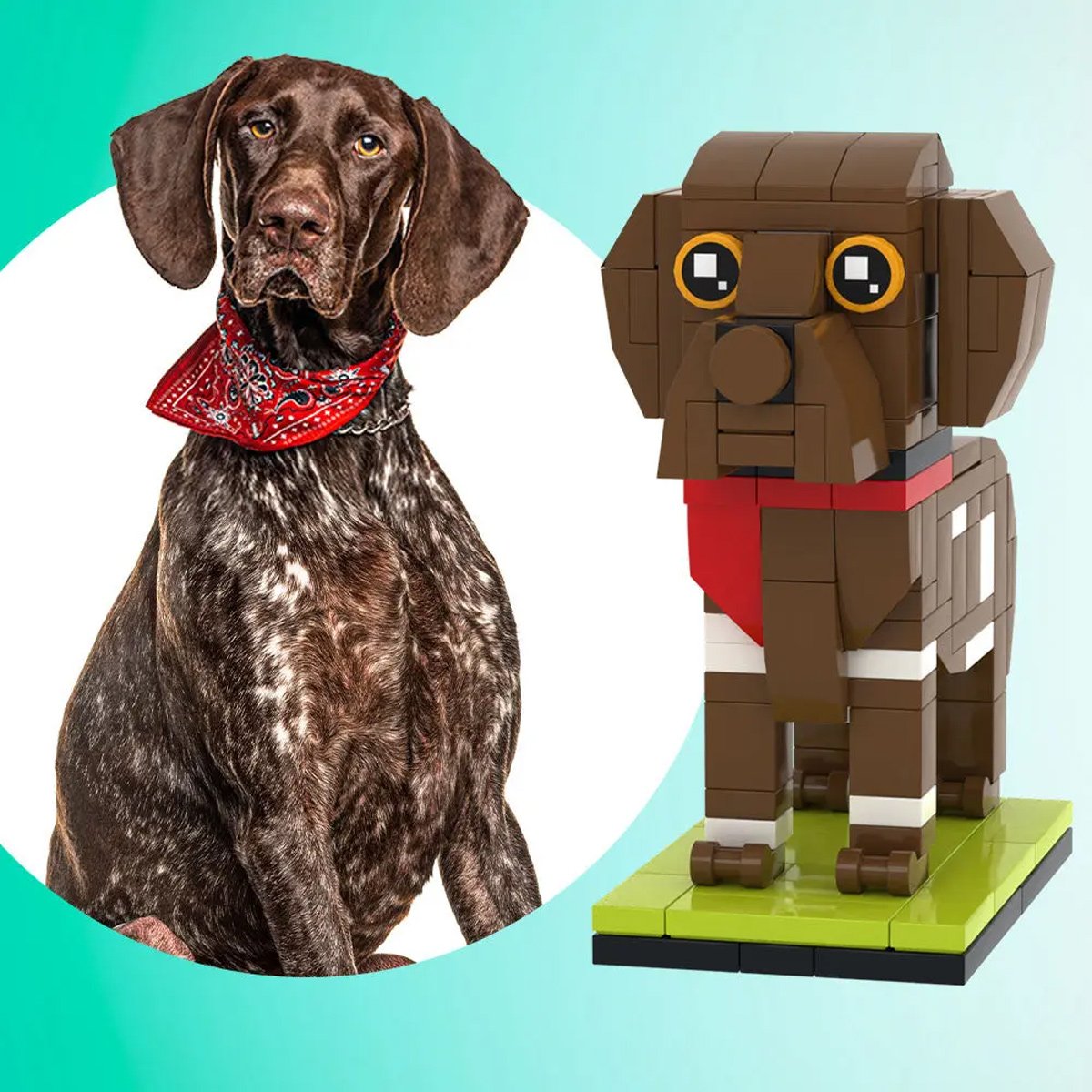 Dog Cat Lovers - Personalized Dog Cat Photos Brick Figures