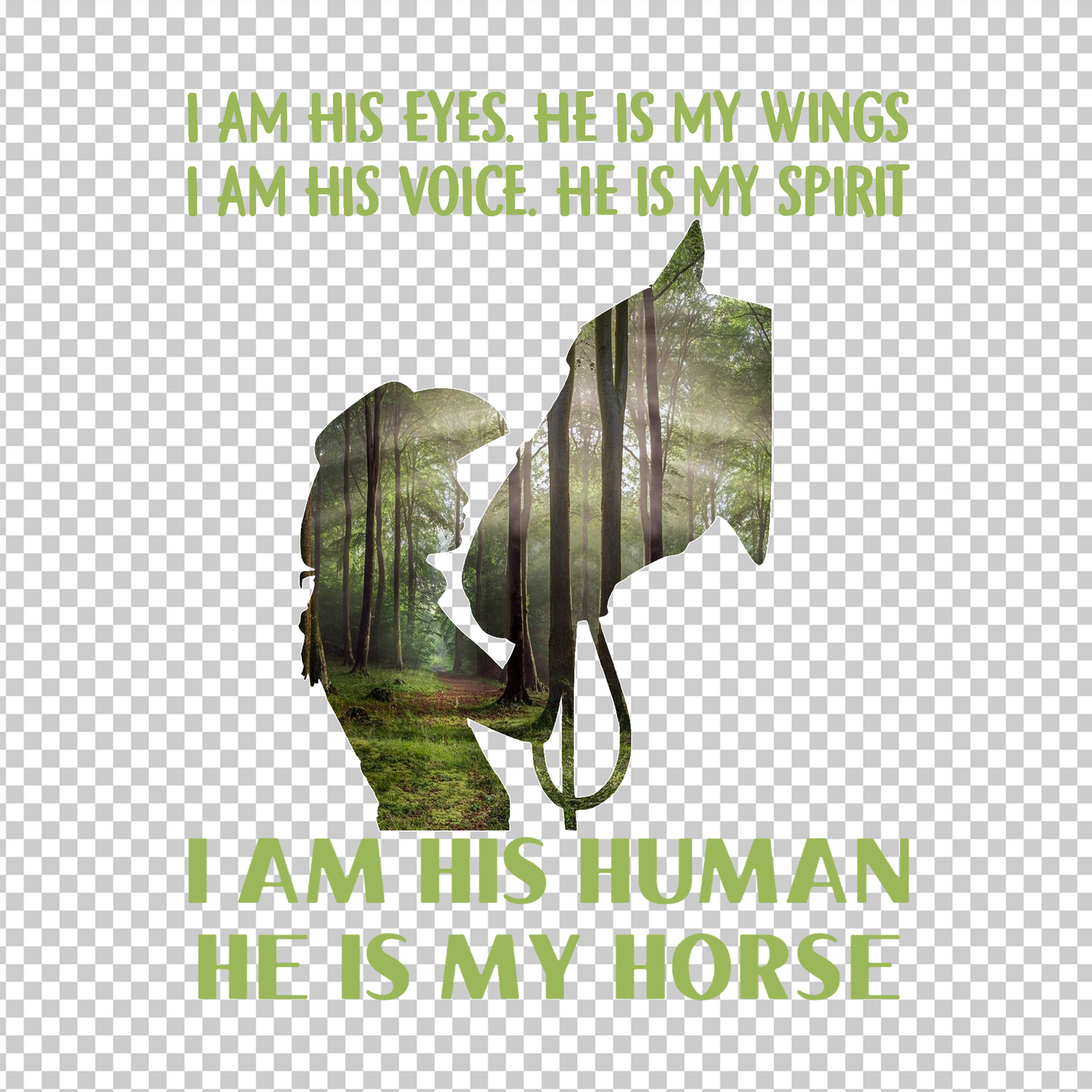 HORSE 6