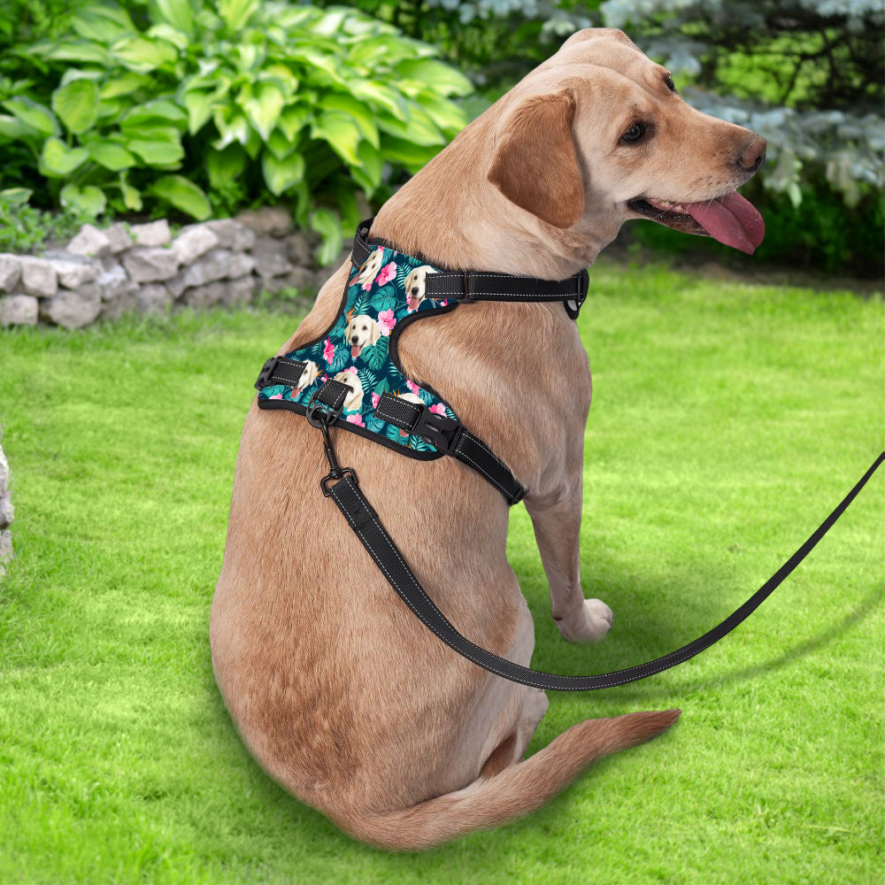 Custom Pet Photo Pattern - Personalized Photo Hawaiian Style Dog Harness