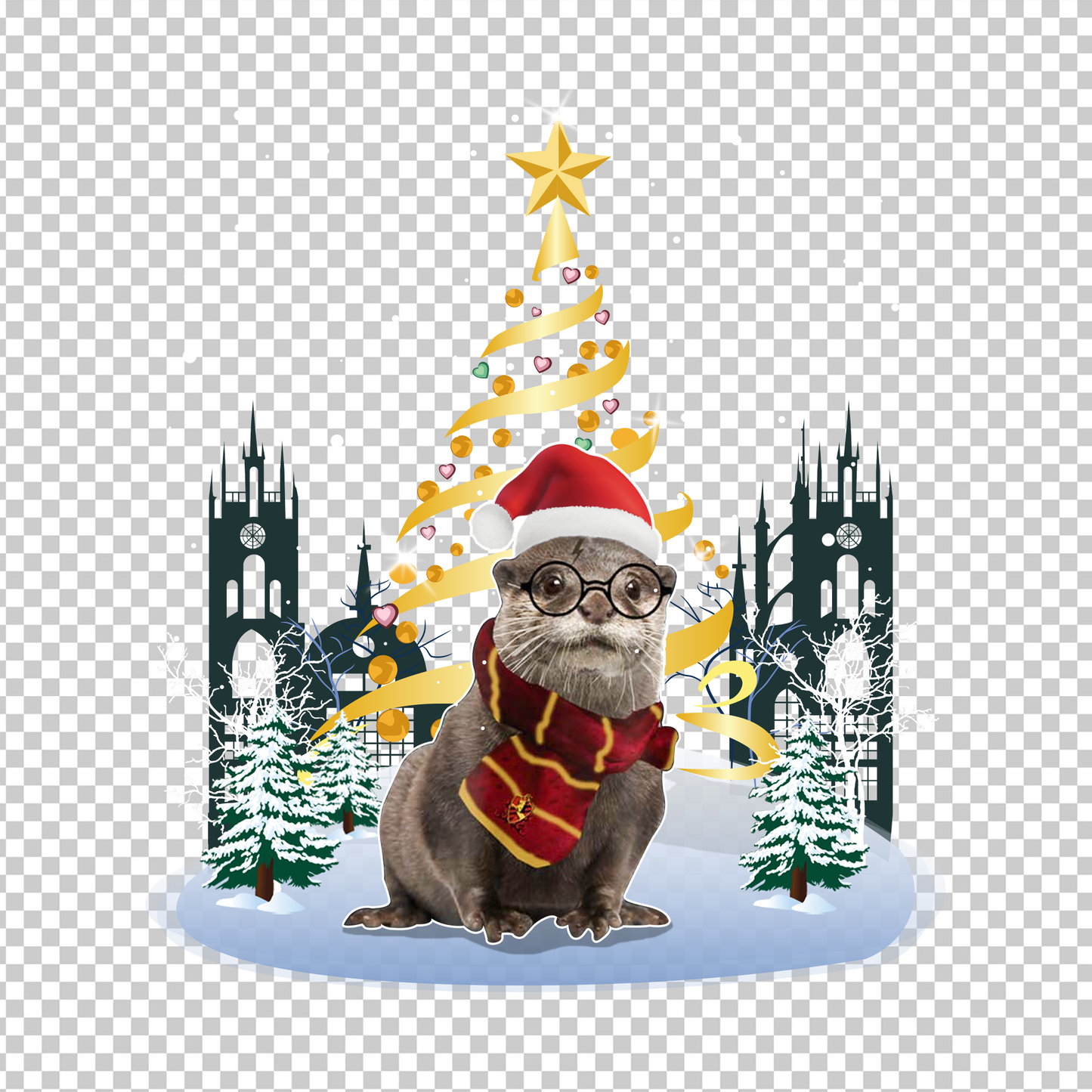 OTTER 6