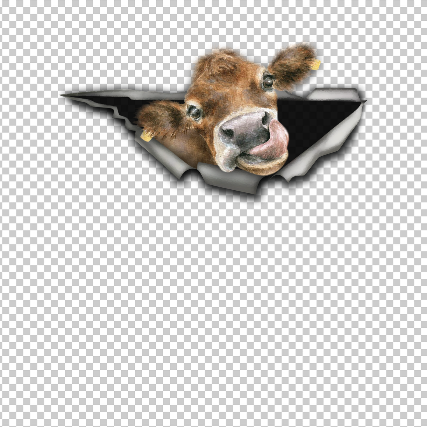COW 30