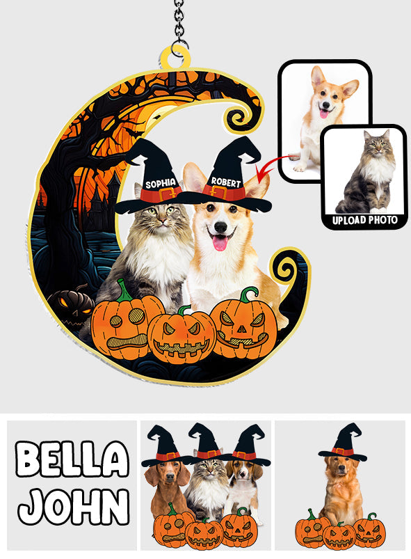 Cute Halloween Pets - Personalized Dog Window Hanging Suncatcher Ornament
