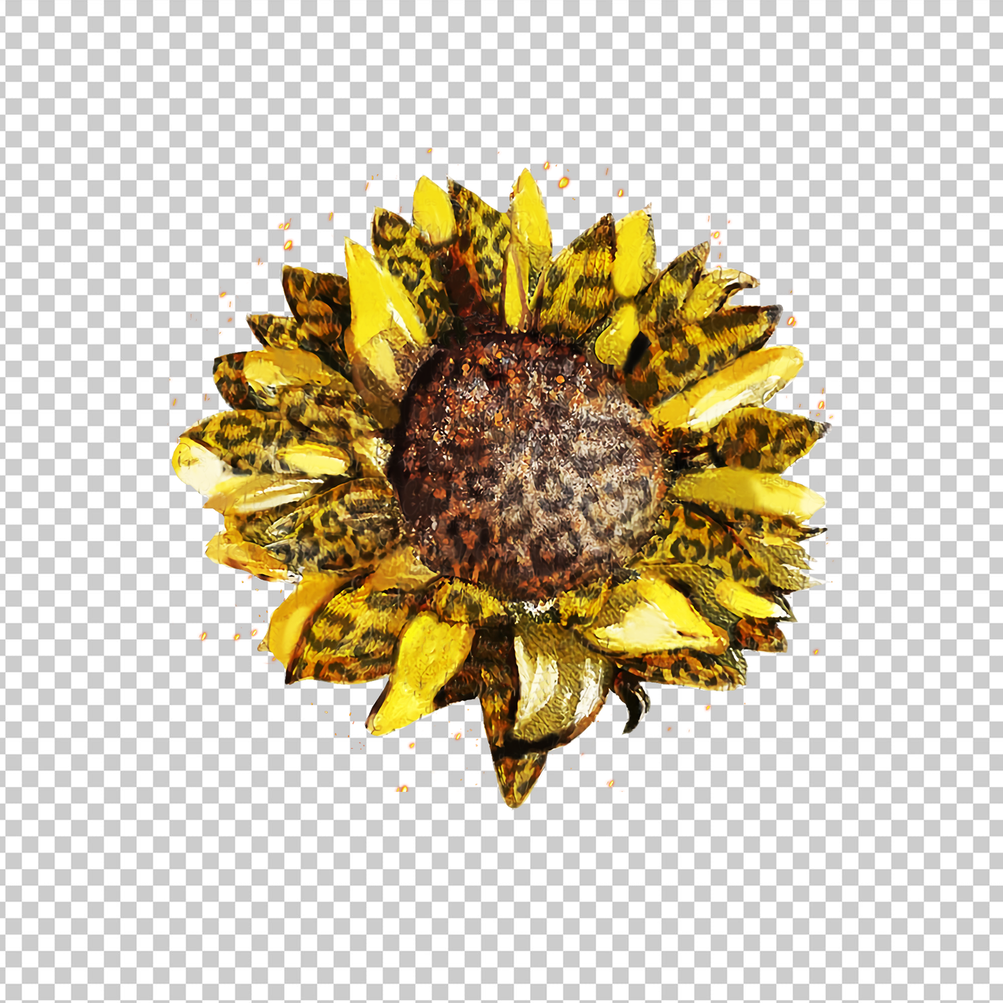 SUNFLOWER 32