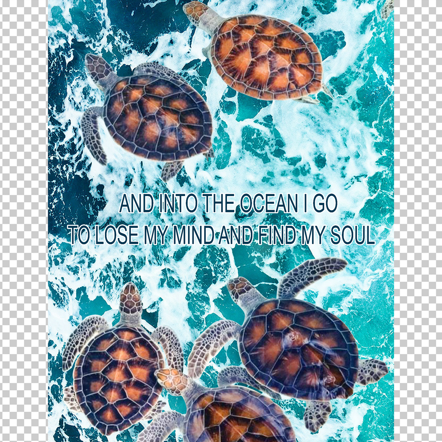 TURTLE 44