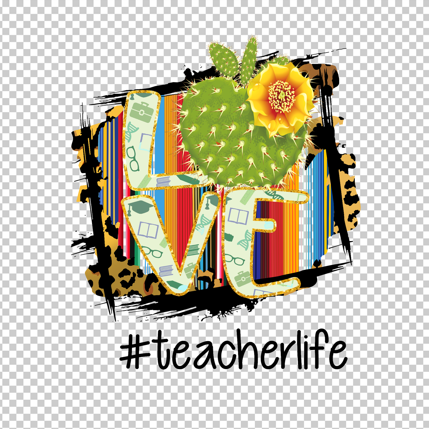 TEACHER 527