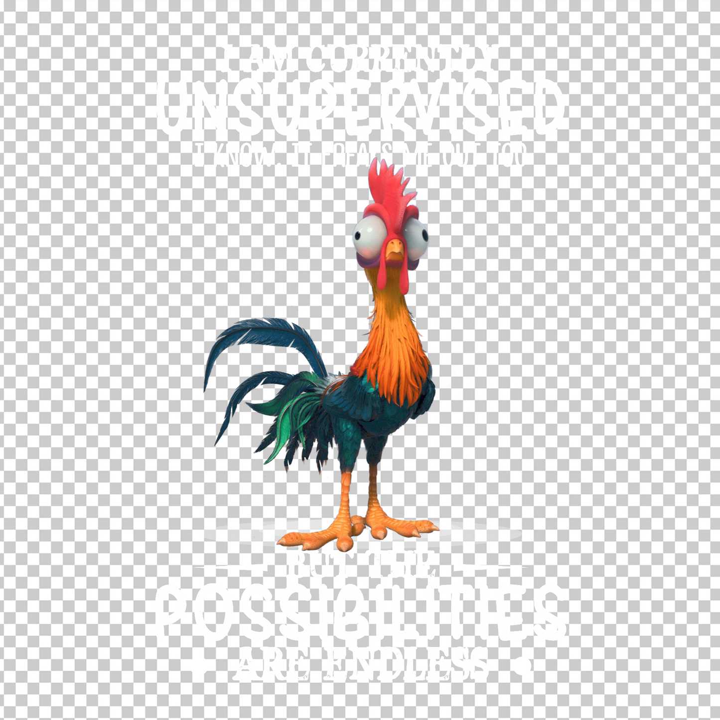 CHICKEN 145