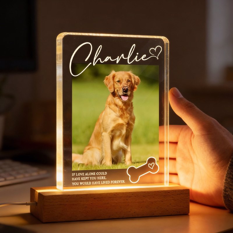 Personalized Pet Memorial Block LED Light Plaque with Custom Photo and Name - Warm Night Light Unique Gift for Dog Lovers