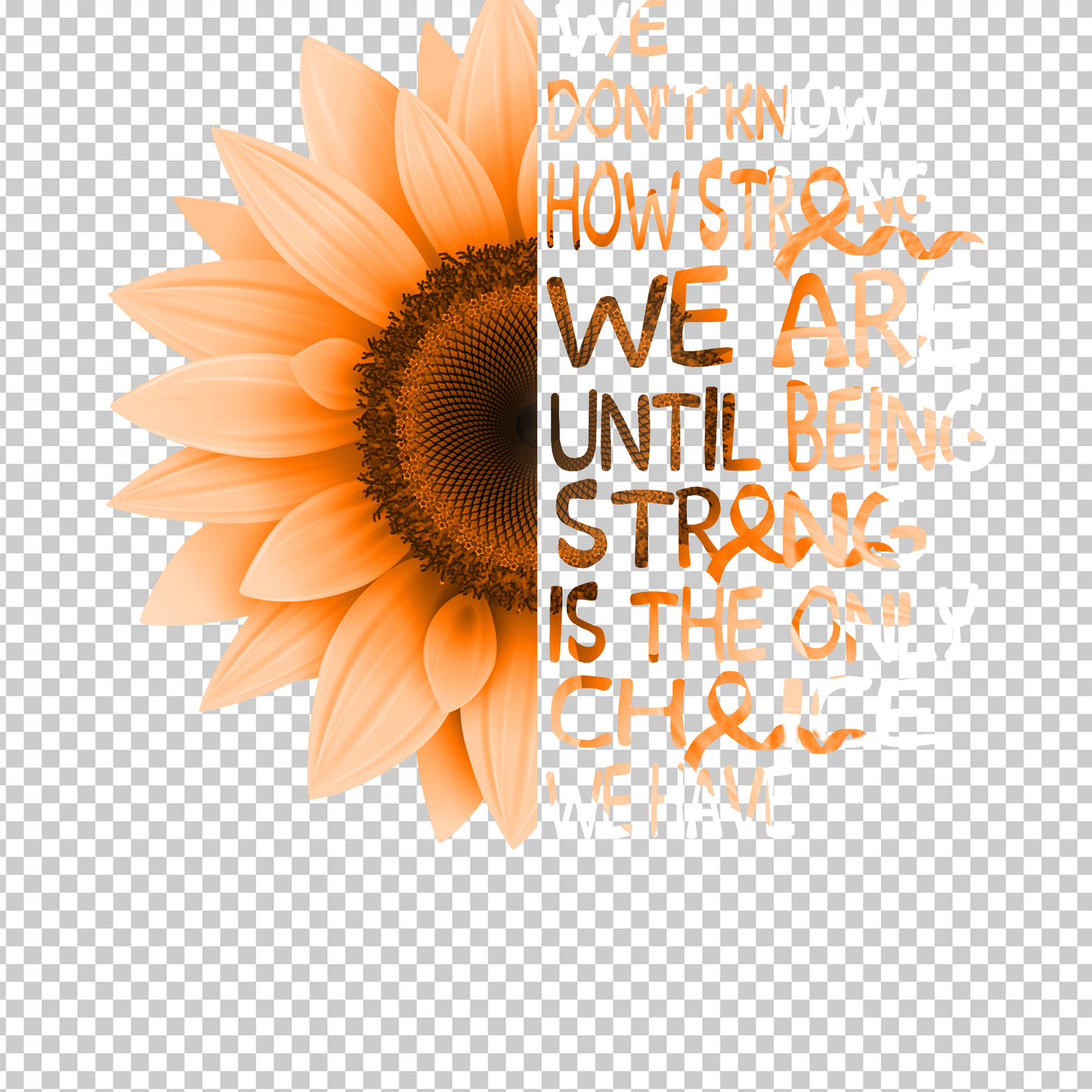 MULTIPLE SCLEROSIS AWARENESS 132