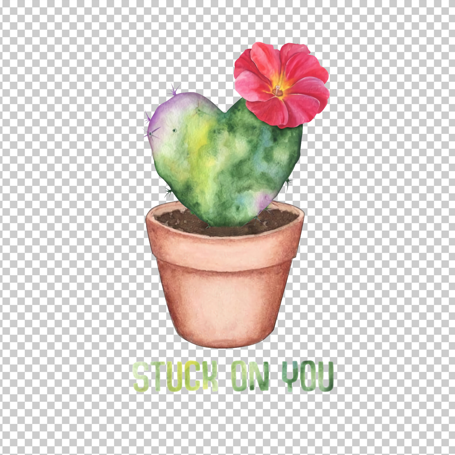 CACTUS 2
