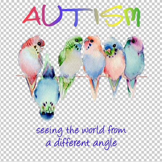 AUTISM AWARENESS 294