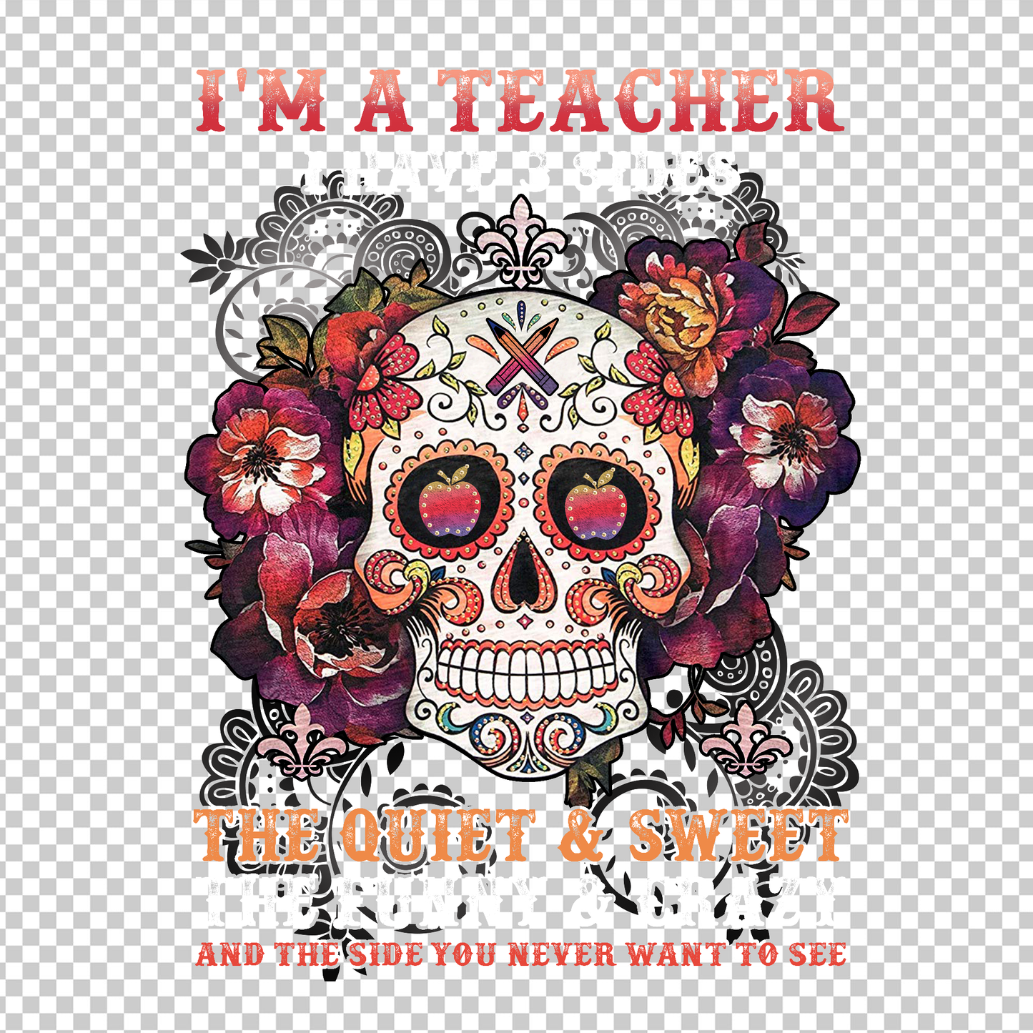 TEACHER 733