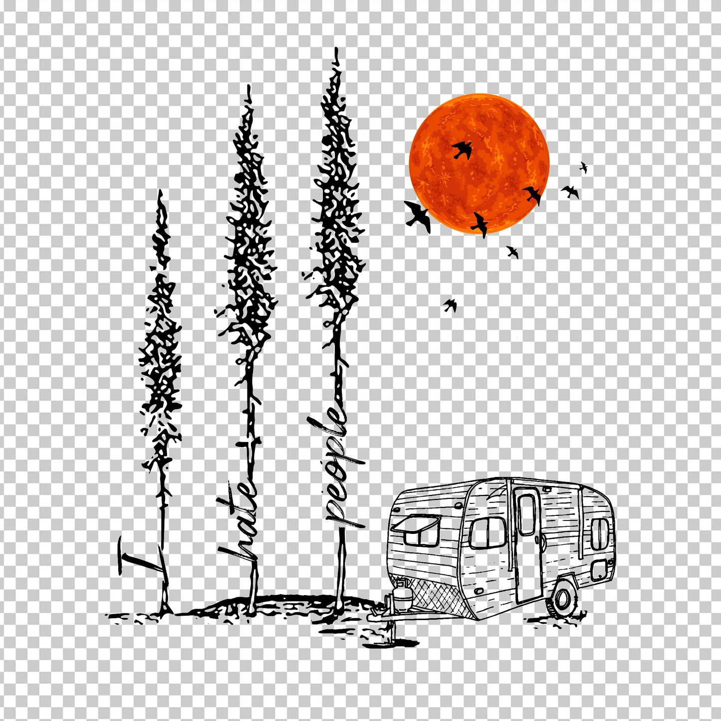 CAMPING 428