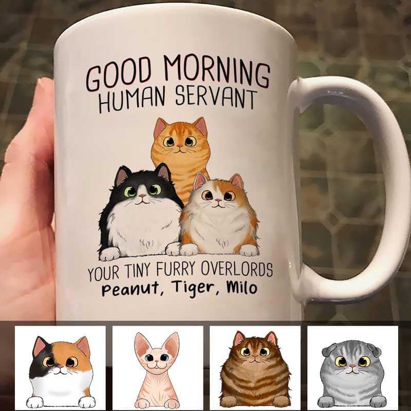 “Good Morning, Human Servant” Custom Cat Name Mug – Furry Overlord Edition