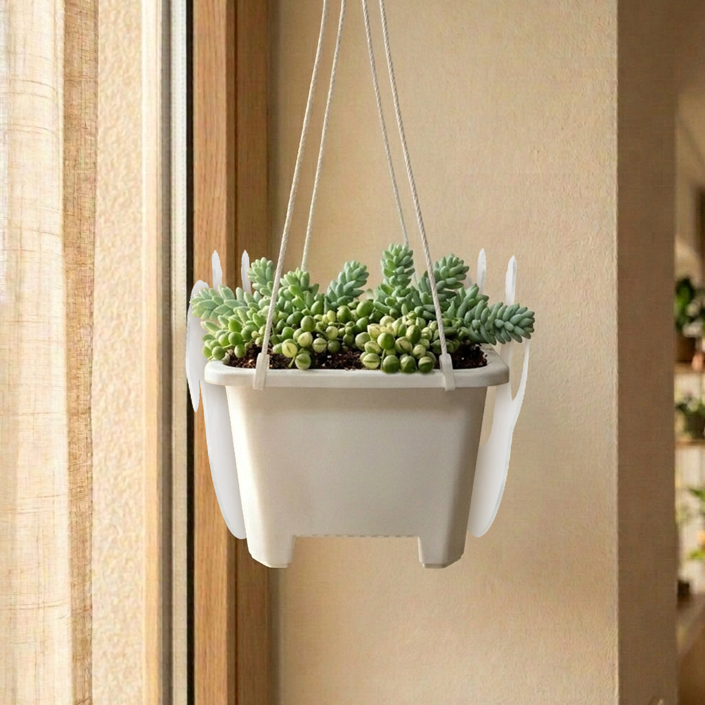 Custom Any Photo - Personalized Dog Hanging Pot