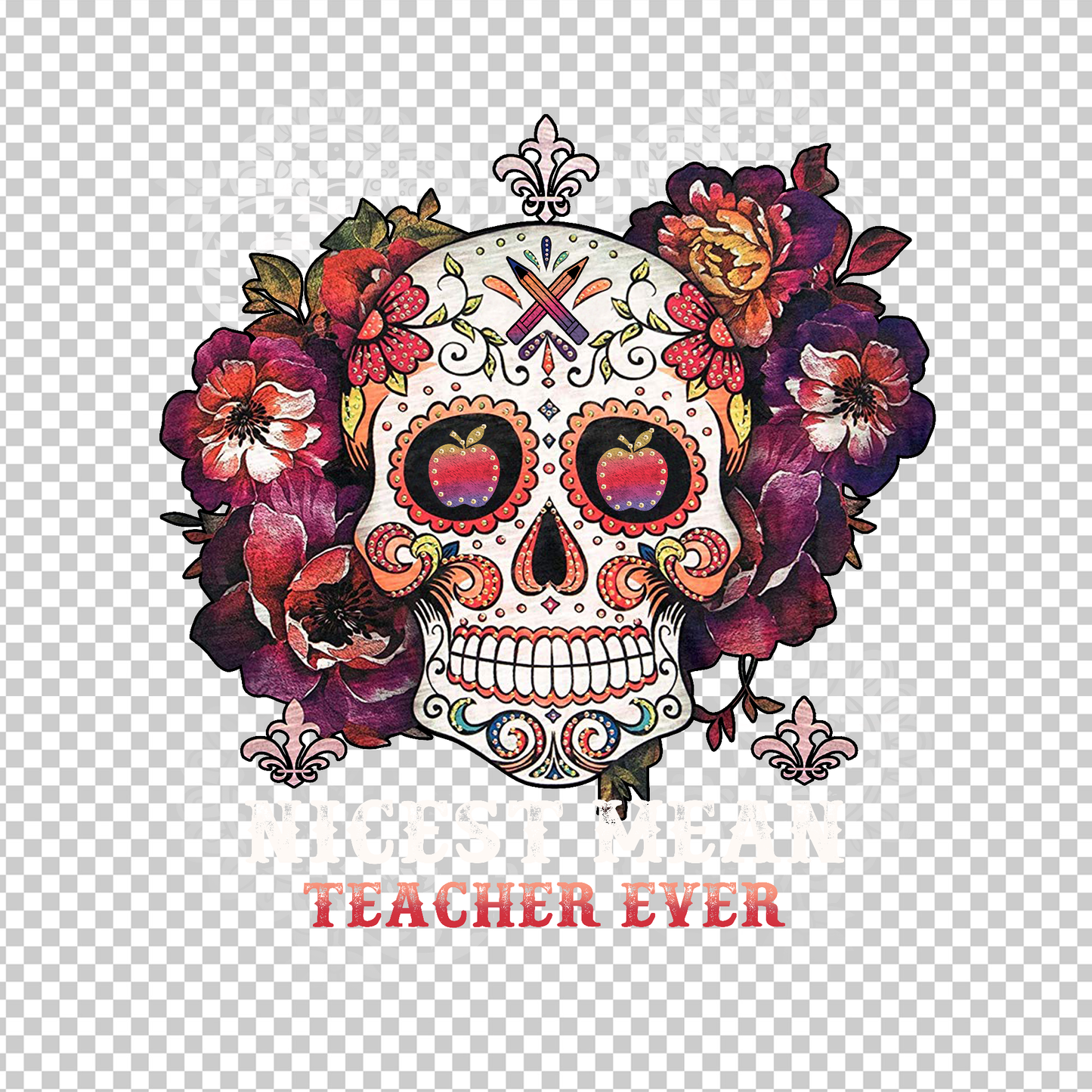 TEACHER 585