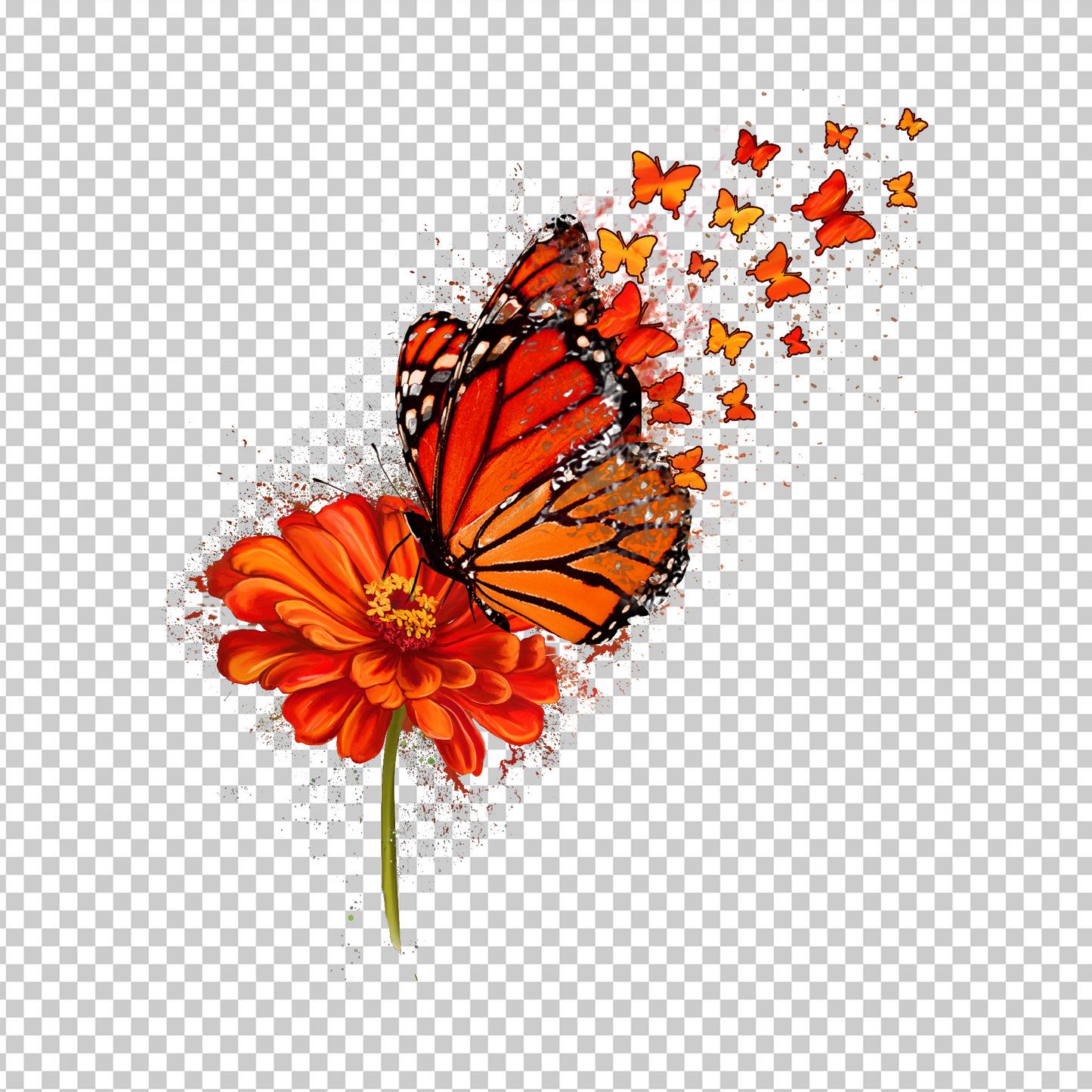 BUTTERFLY 15