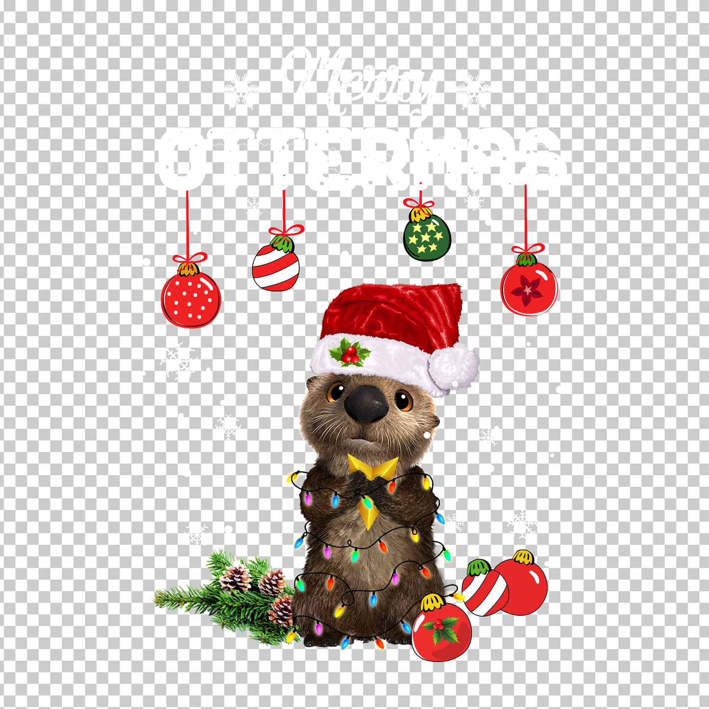 OTTER 25