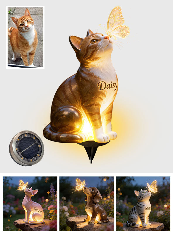 Cat And Butterfly - Personalized Cat Solar Acrylic Light