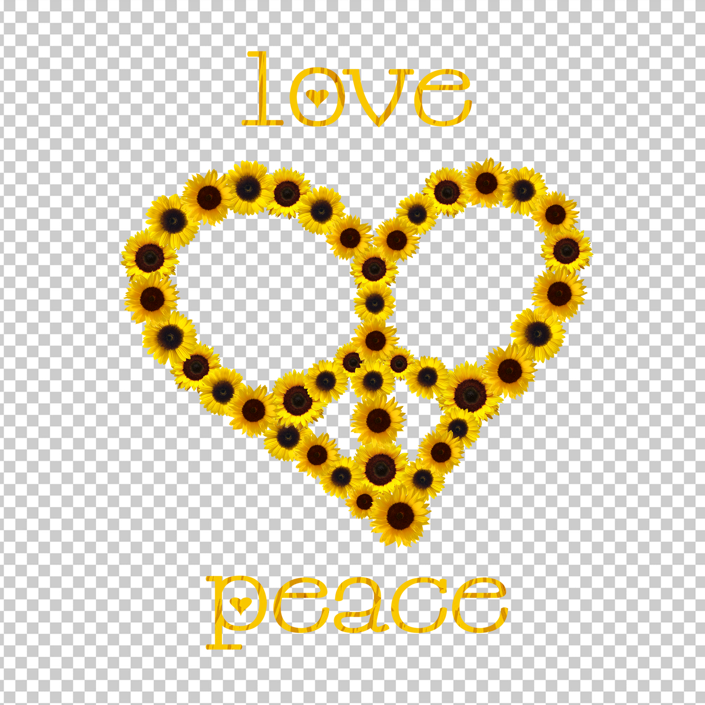 HIPPIE 442