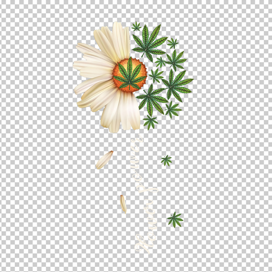 WEED 14
