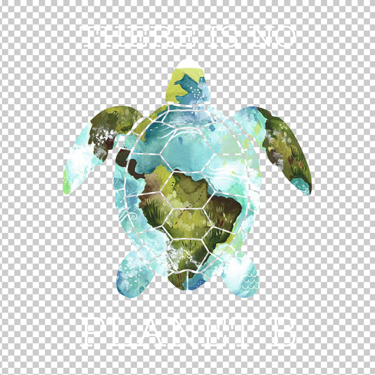 TURTLE 19