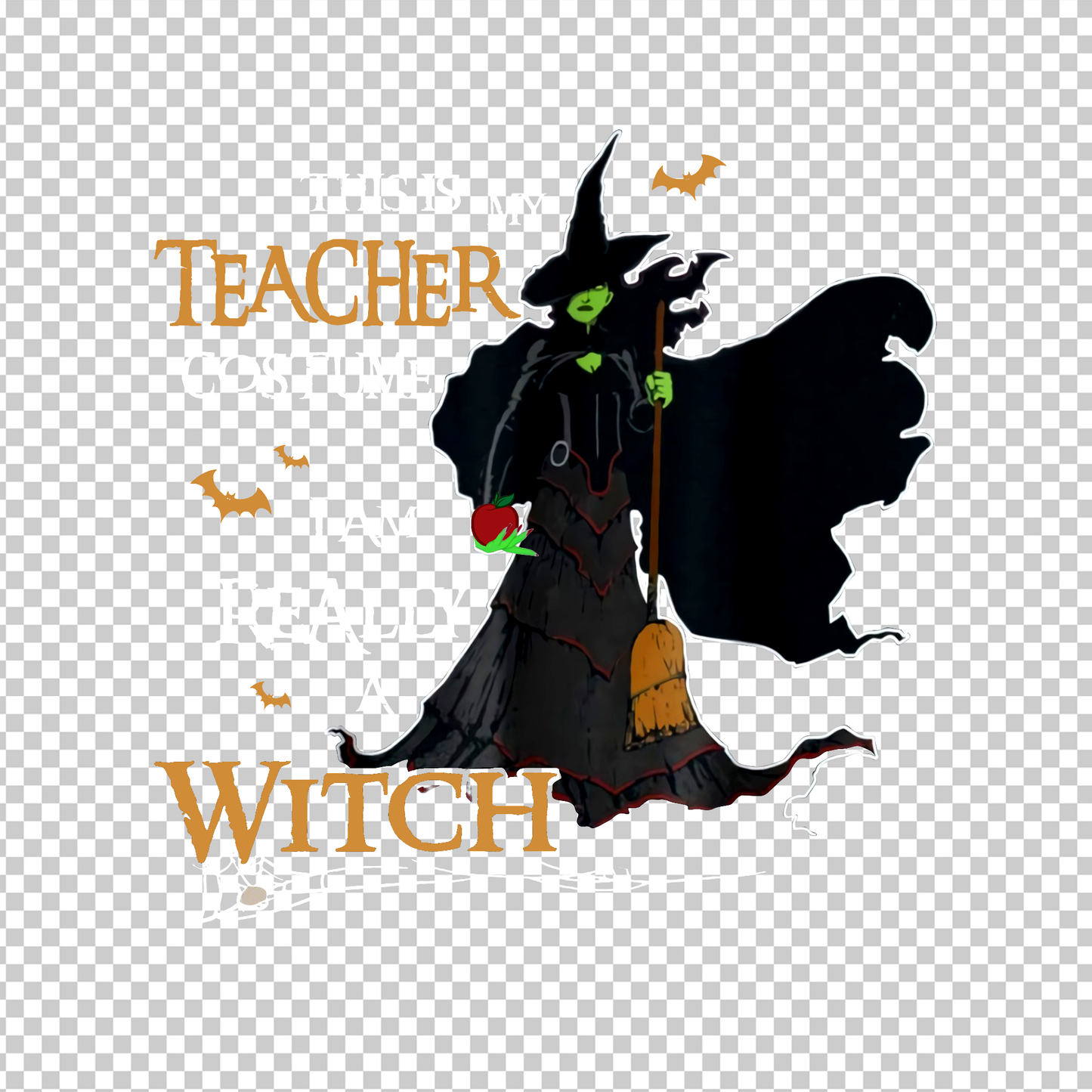 TEACHER 571