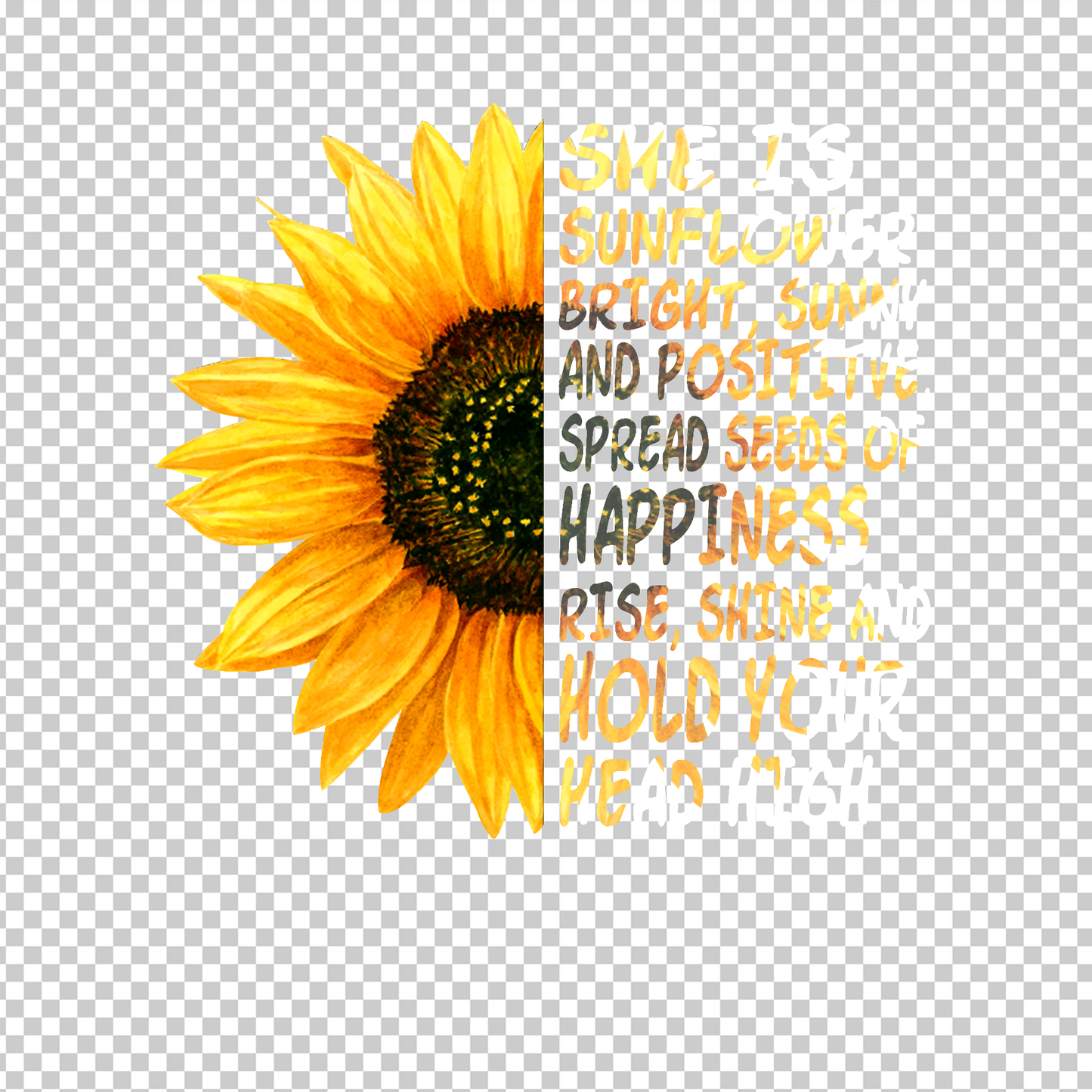 SUNFLOWER 25