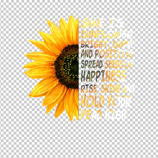 SUNFLOWER 25