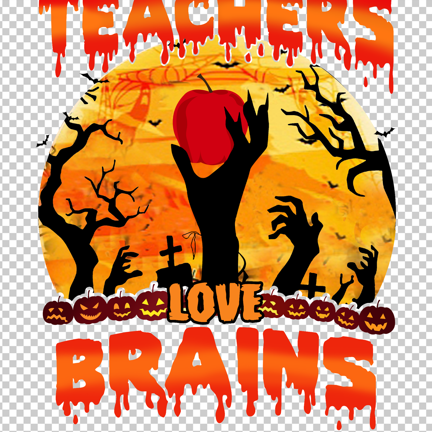 TEACHER 338