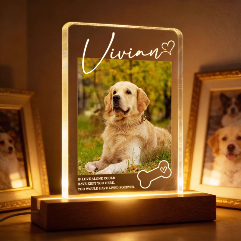 Personalized Pet Memorial Block LED Light Plaque with Custom Photo and Name - Warm Night Light Unique Gift for Dog Lovers