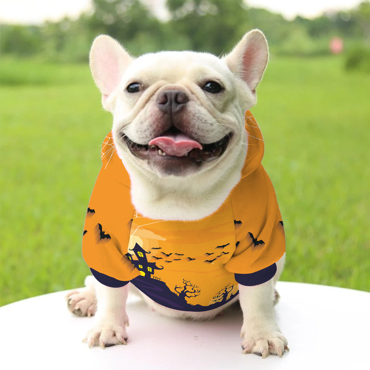 Spooky Dog Cat - Personalized Dog Pet Hoodie