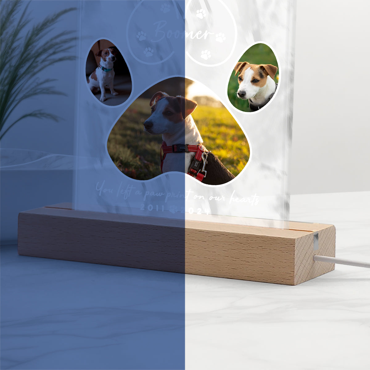 You Left A Paw Print - Personalized Dog Shaped Led Night Light