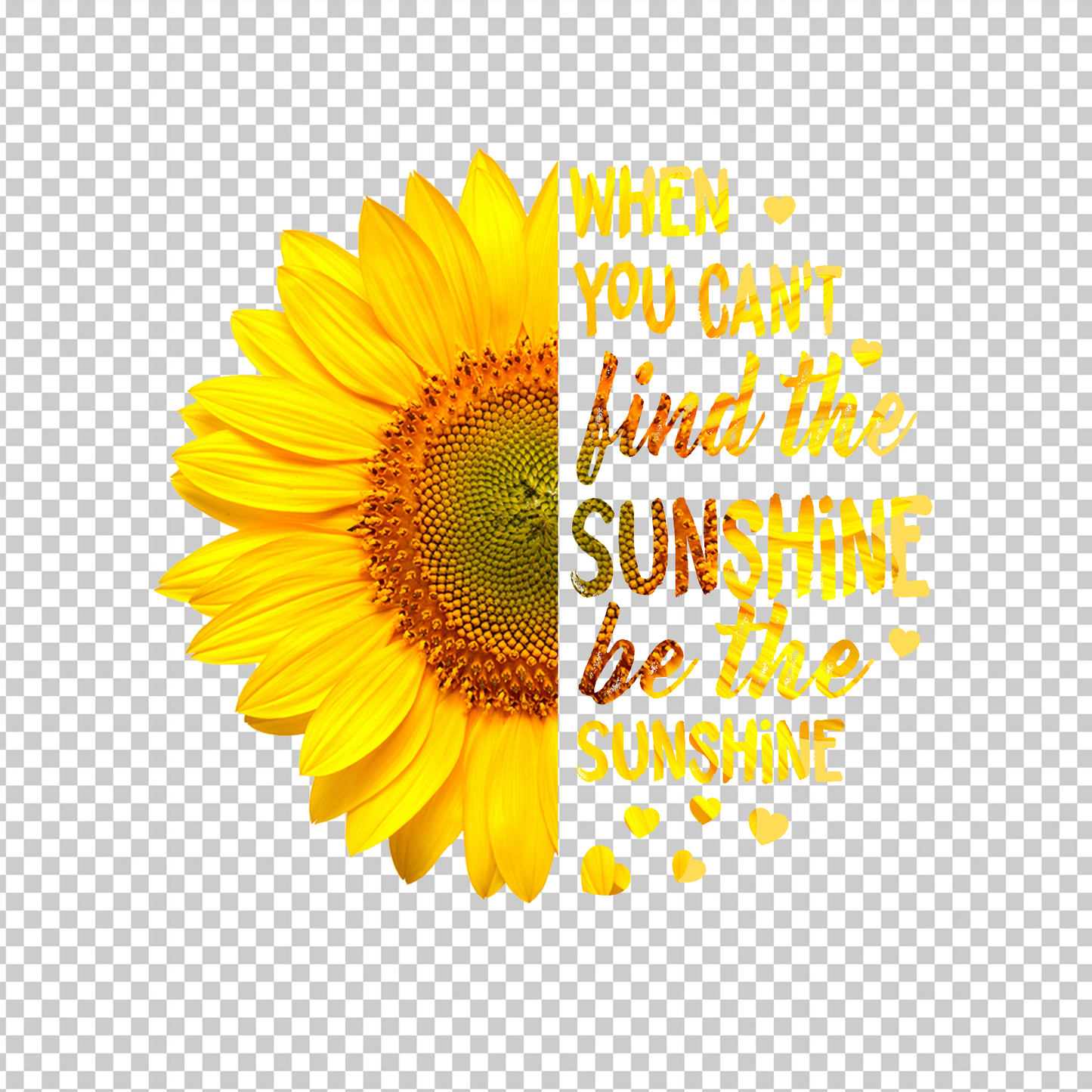 SUNFLOWER 27