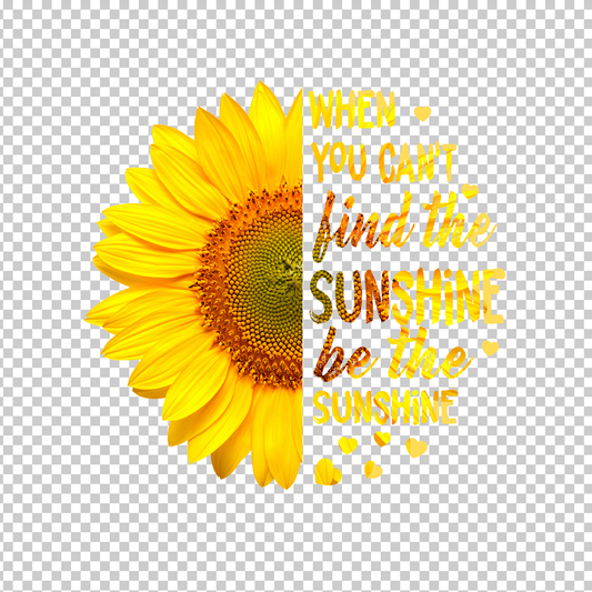 SUNFLOWER 27
