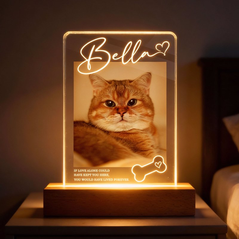 Personalized Pet Memorial Block LED Light Plaque with Custom Photo and Name - Warm Night Light Unique Gift for Dog Lovers