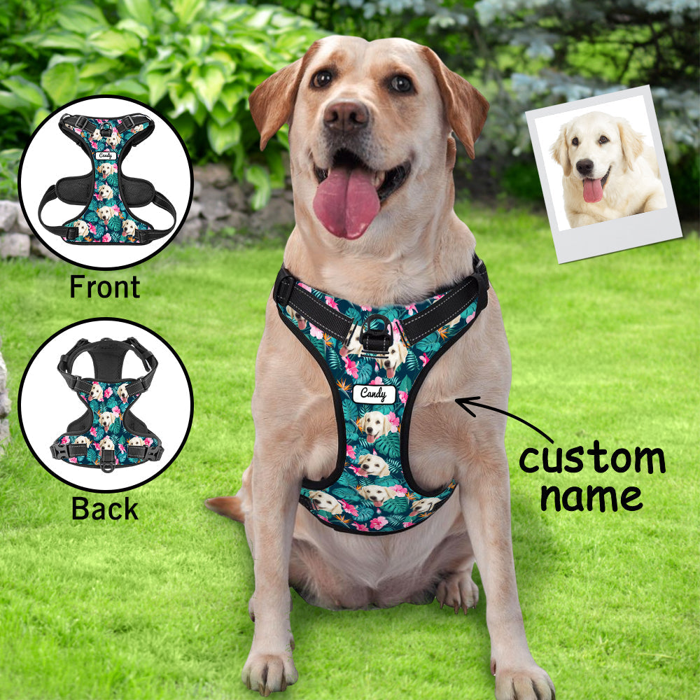Custom Pet Photo Pattern - Personalized Photo Hawaiian Style Dog Harness