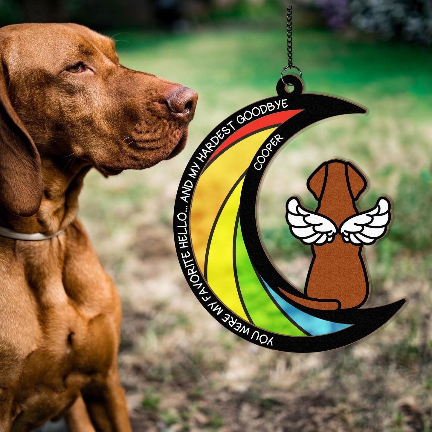 Wood and Acrylic Layered Ornament – Pet Rainbow Bridge Memorial Gift, “You Were My Favorite Hello and My Hardest Goodbye”