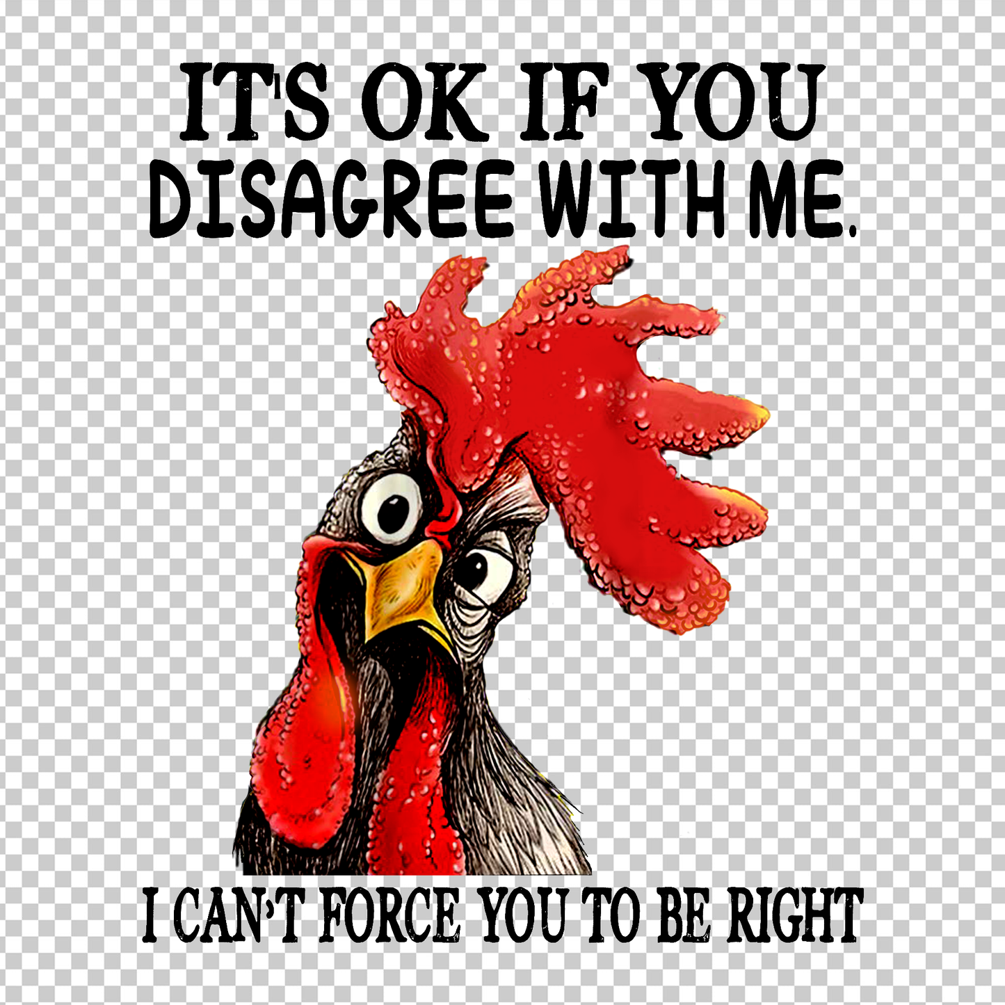 CHICKEN 73