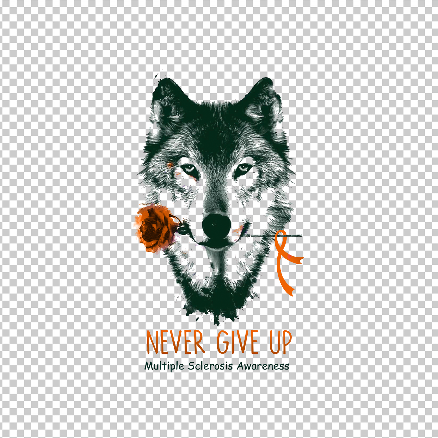 MULTIPLE SCLEROSIS AWARENESS 241