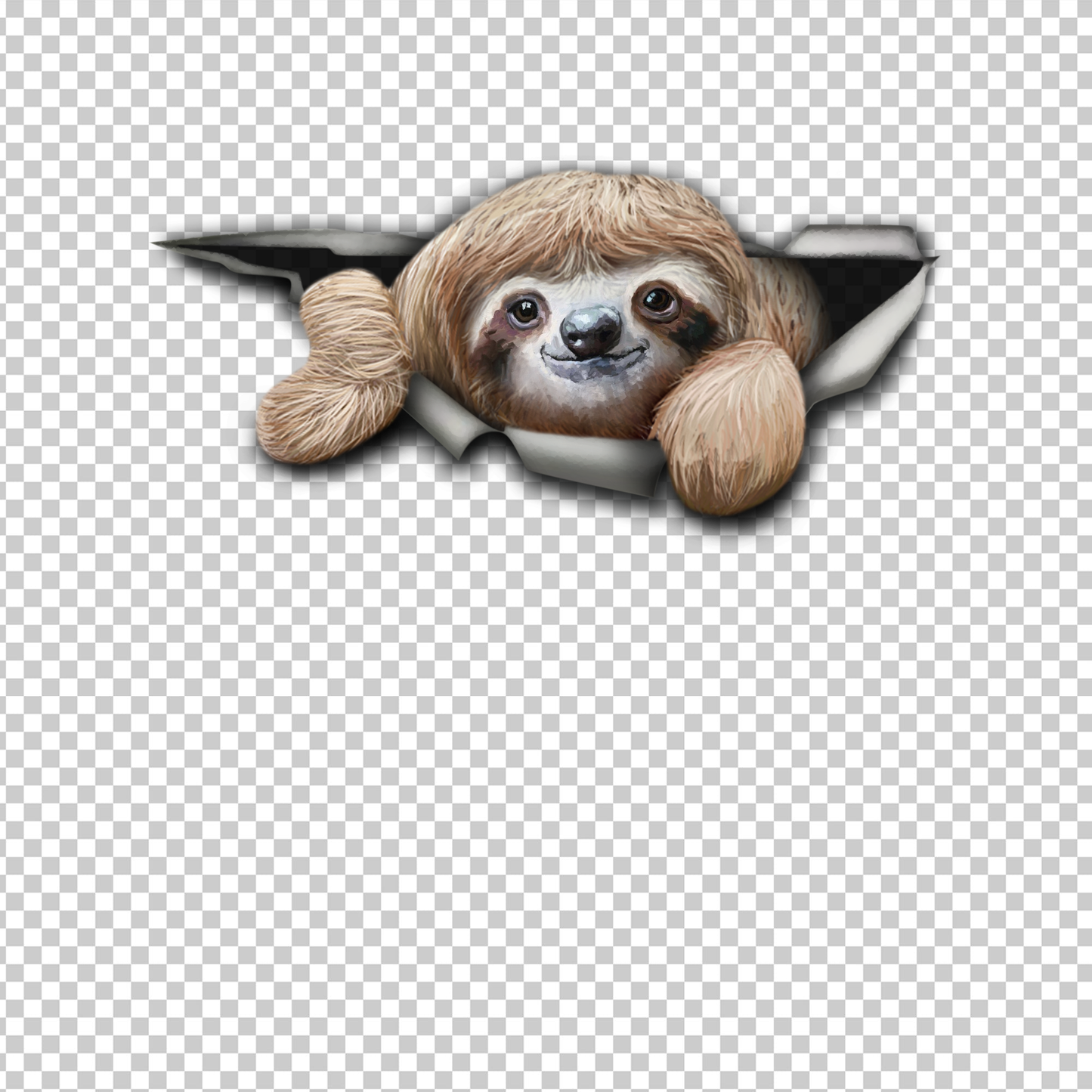 SLOTH 51