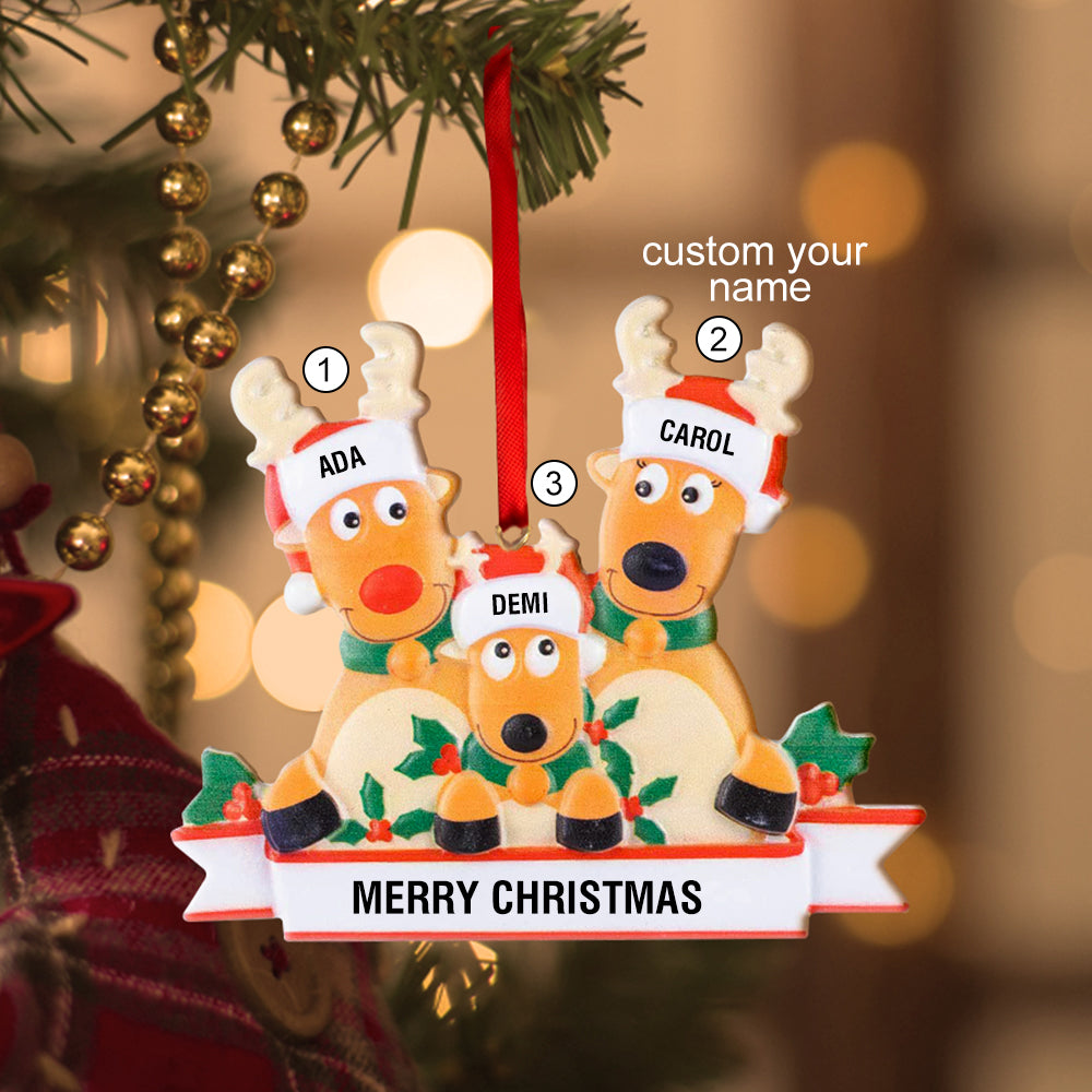 Any Family Name - Personalized Family Gift Ornament