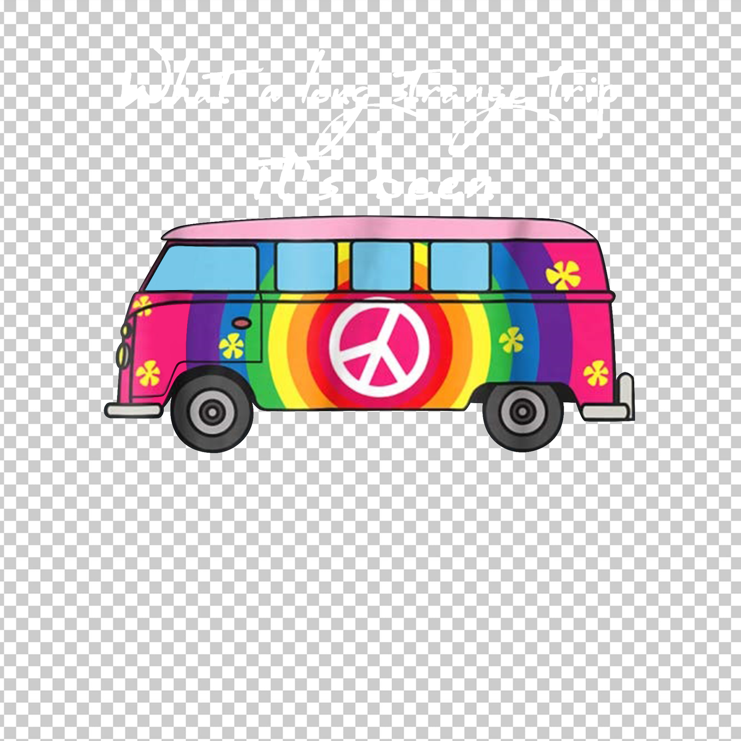 HIPPIE 41