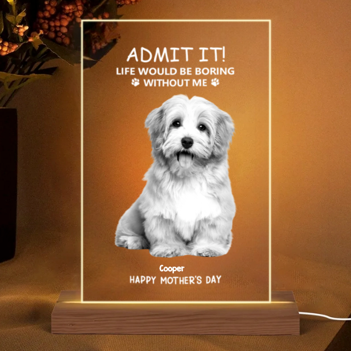 Personalized Pet Rectangular Pillow – Humorous Pet-Themed Design, Special Gift for Pet Lovers