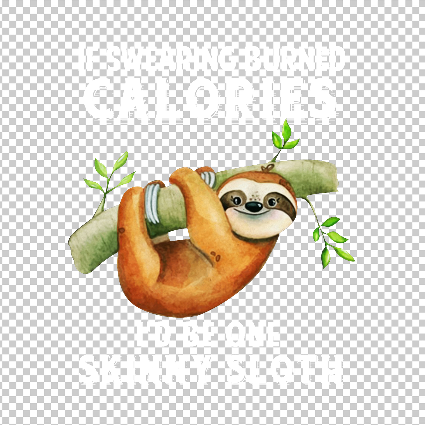 SLOTH 29